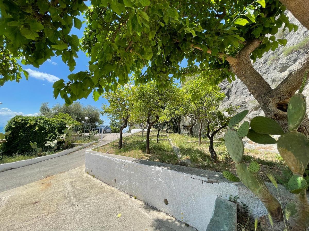 Villetta - Qui Dove Il Mare Luccica - Affitti Brevi Italia Monte SantʼAngelo Exteriör bild