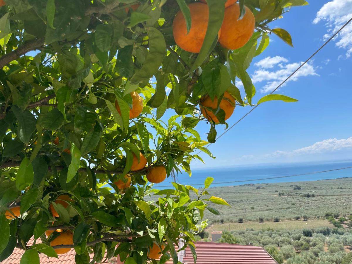 Villetta - Qui Dove Il Mare Luccica - Affitti Brevi Italia Monte SantʼAngelo Exteriör bild