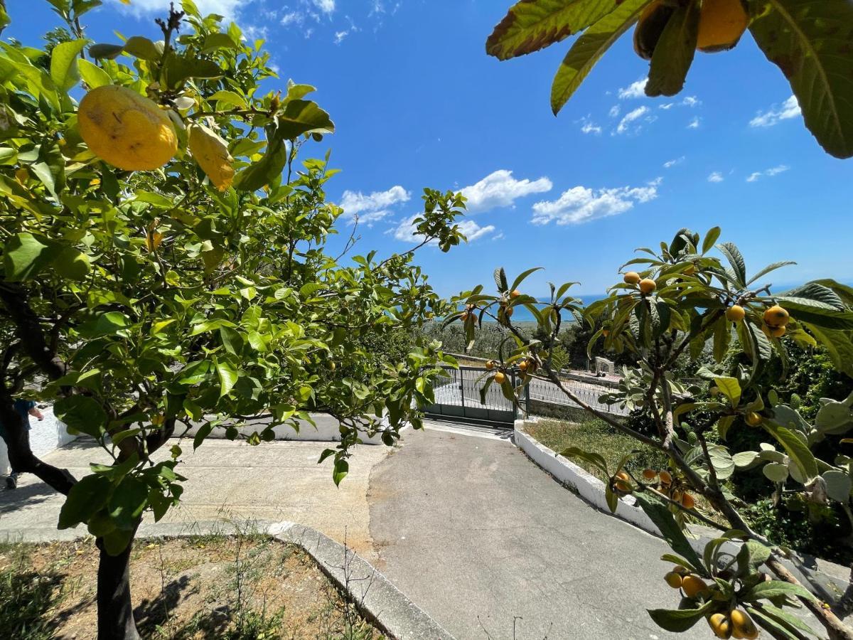 Villetta - Qui Dove Il Mare Luccica - Affitti Brevi Italia Monte SantʼAngelo Exteriör bild
