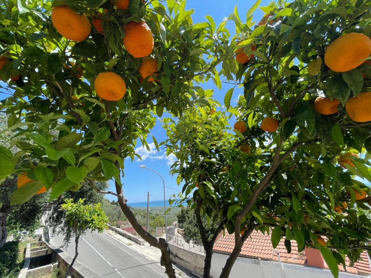 Villetta - Qui Dove Il Mare Luccica - Affitti Brevi Italia Monte SantʼAngelo Exteriör bild