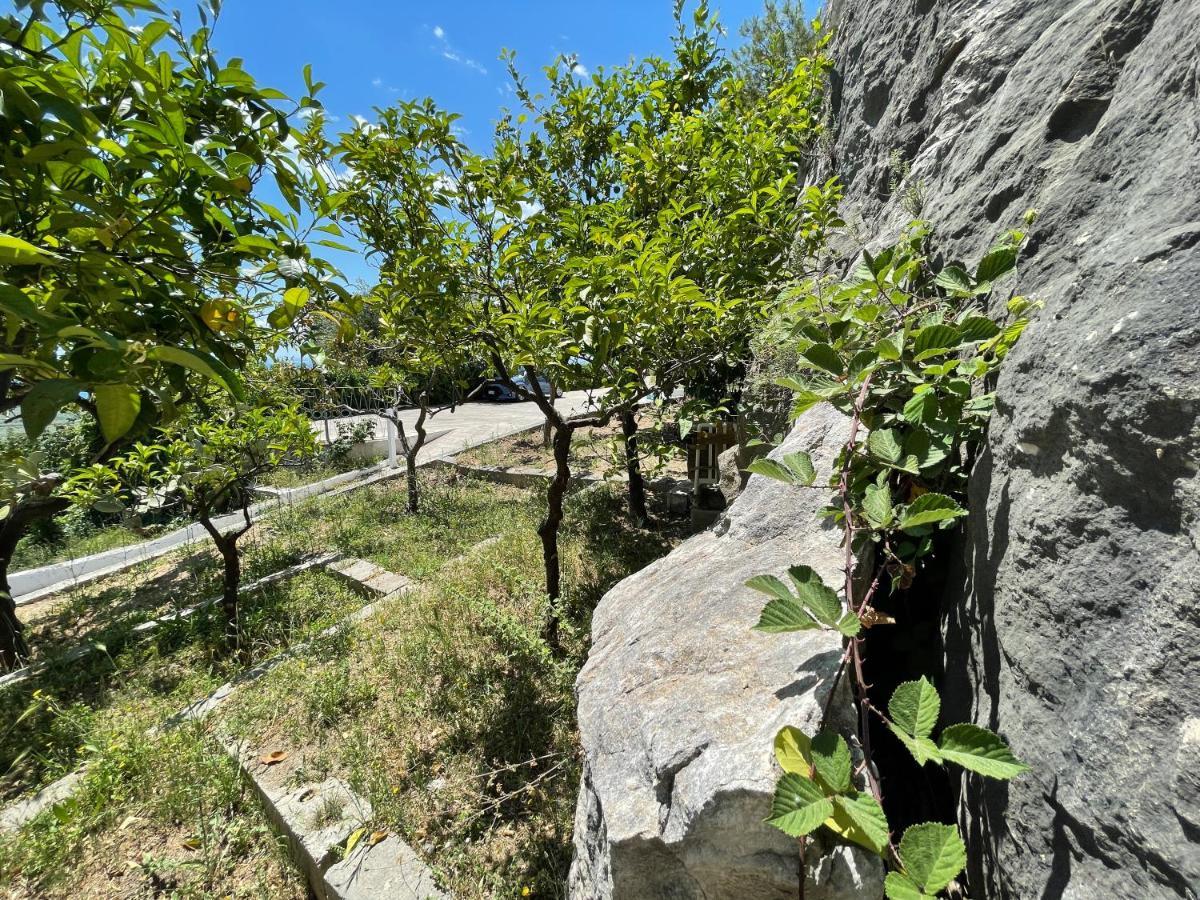 Villetta - Qui Dove Il Mare Luccica - Affitti Brevi Italia Monte SantʼAngelo Exteriör bild